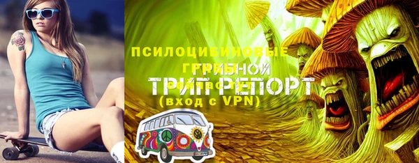 ПСИЛОЦИБИНОВЫЕ ГРИБЫ Волоколамск
