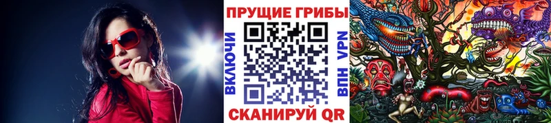 Галлюциногенные грибы GOLDEN TEACHER  Купить закладки  Когалым 